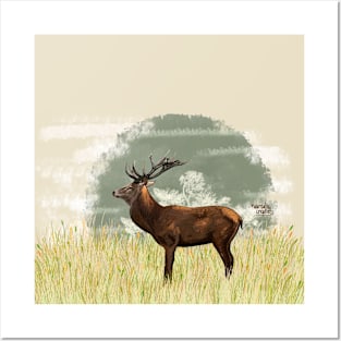 Deer in grassland Posters and Art